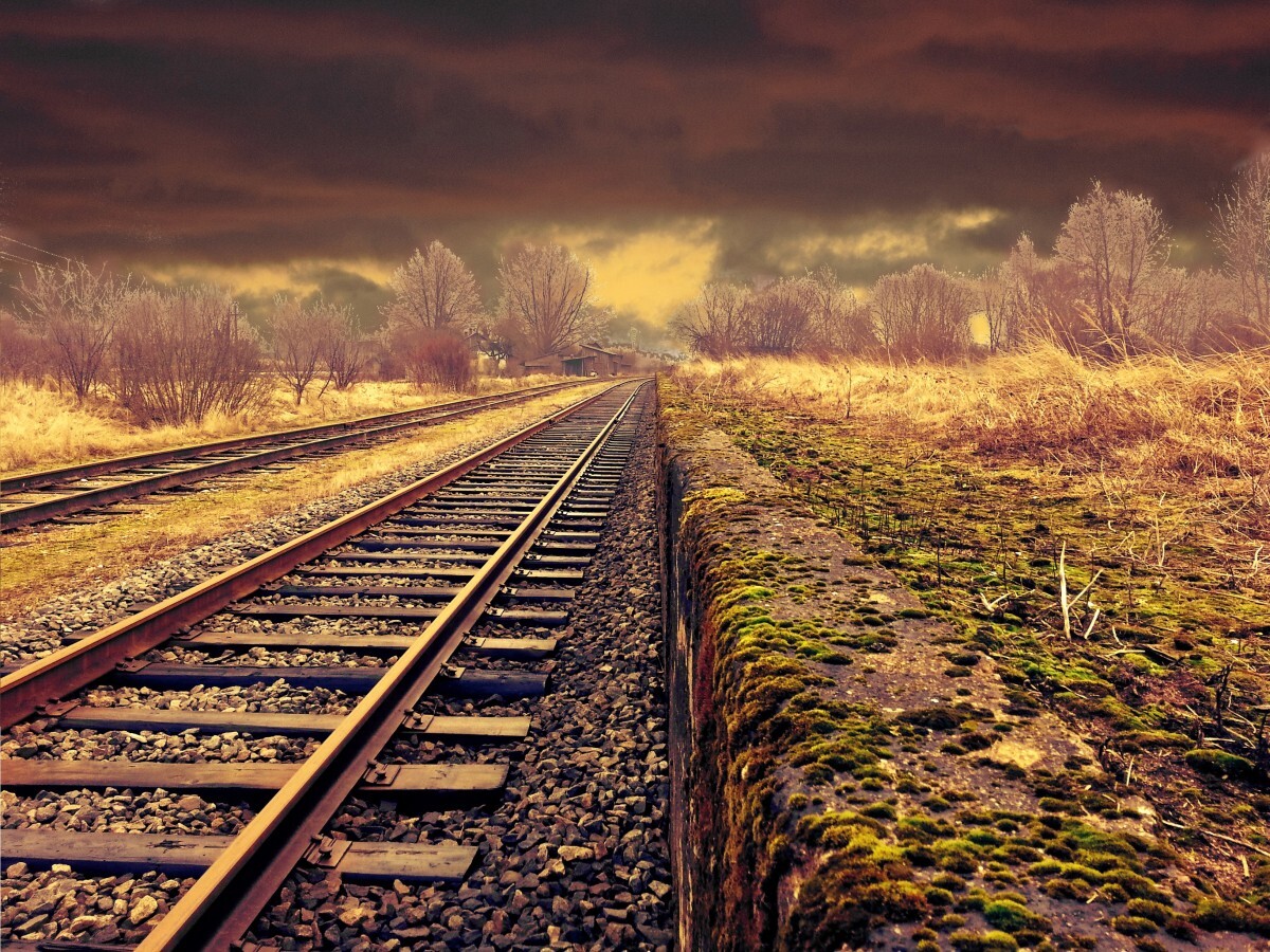 Free Images : tree, nature, forest, track, railway, railroad, sunlight ...